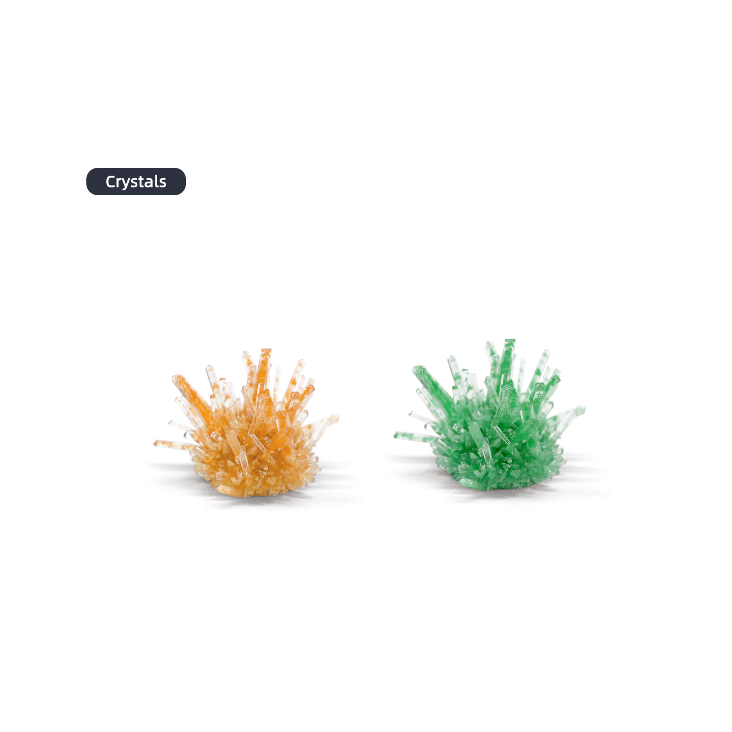 I CAN BESCIENTIST (2)